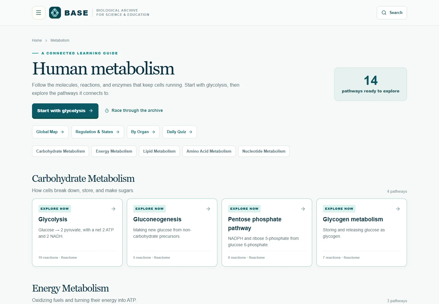 BASE’s live human metabolism page with pathway navigation and learning cards
